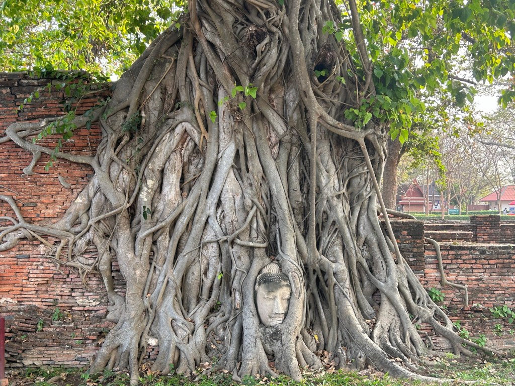 Let’s talk about a 3-day Thailand Trip (Part 3 –&nbsp;Ayutthaya)