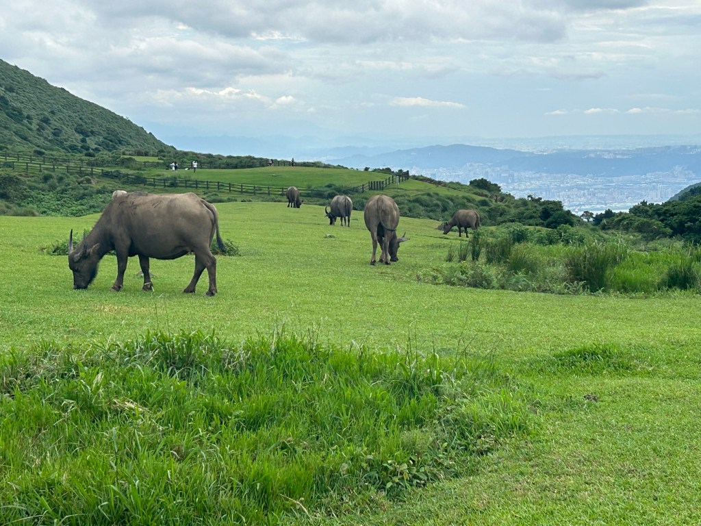 Let’s talk about a 5-day Taiwan Trip (Part 4 – Beitou &&nbsp;Yangmingshan)