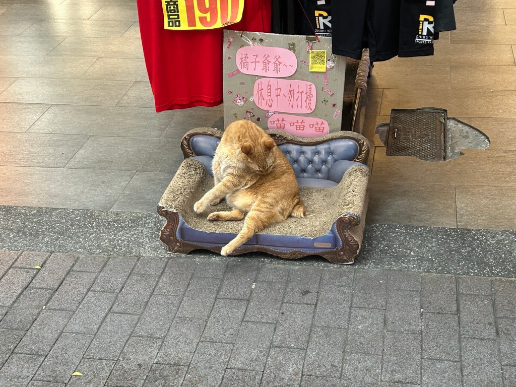 Let’s talk about last&nbsp;week