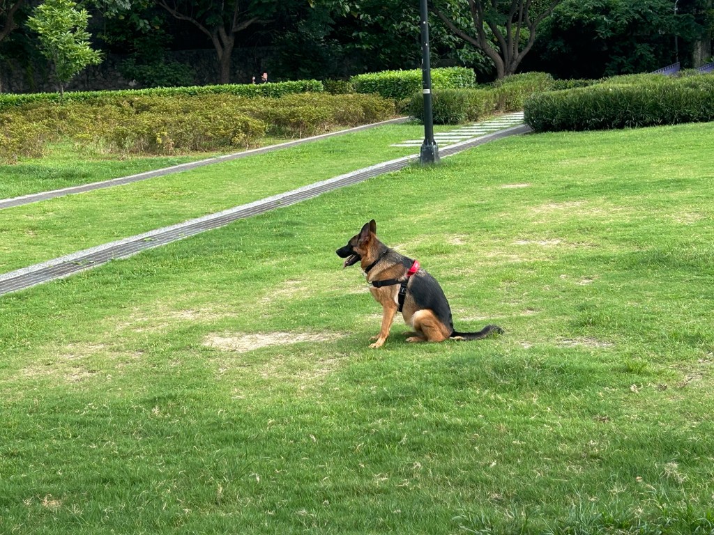 Let’s talk about what I’m planning this&nbsp;year